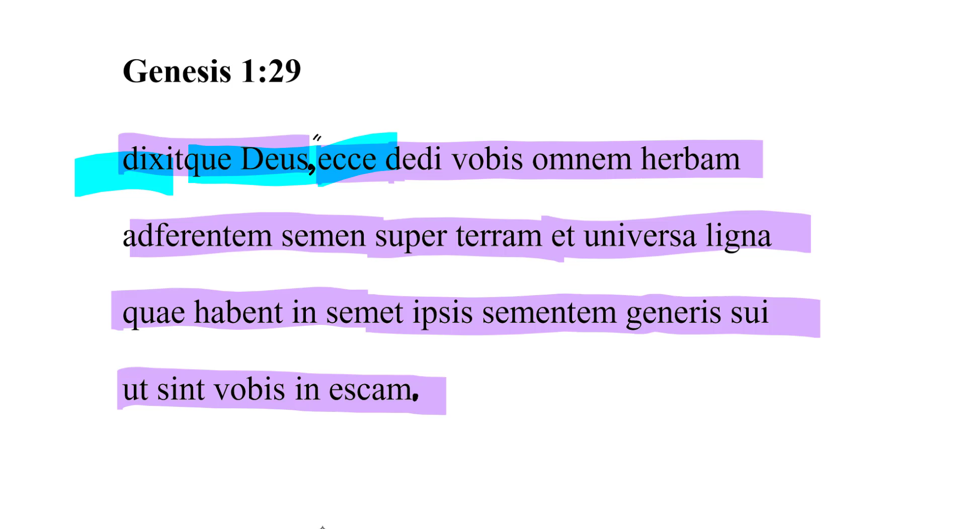 Genesis 1:29 Latin Vulgate