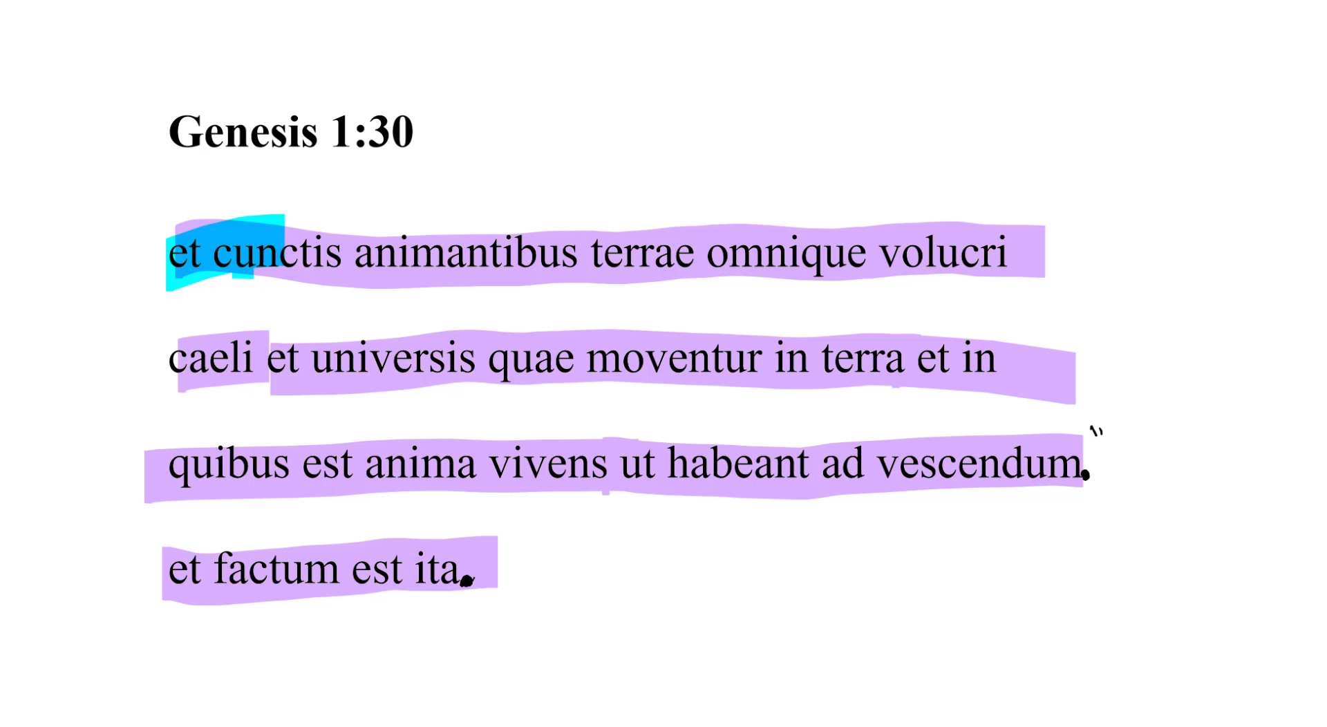 Genesis 1:30 Latin Vulgate